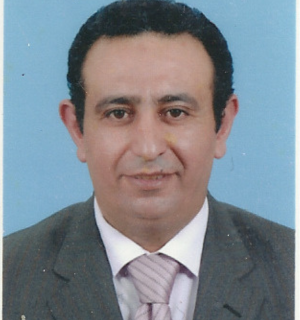 د/ محمد علي محمد خليل